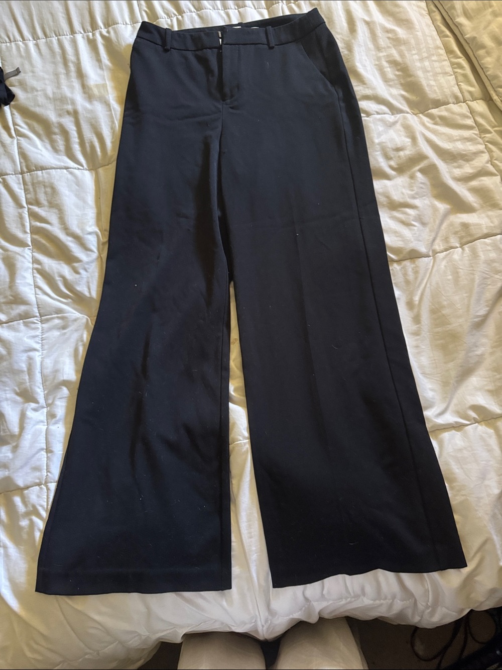 Wide Leg Women's Dress Pants — Black